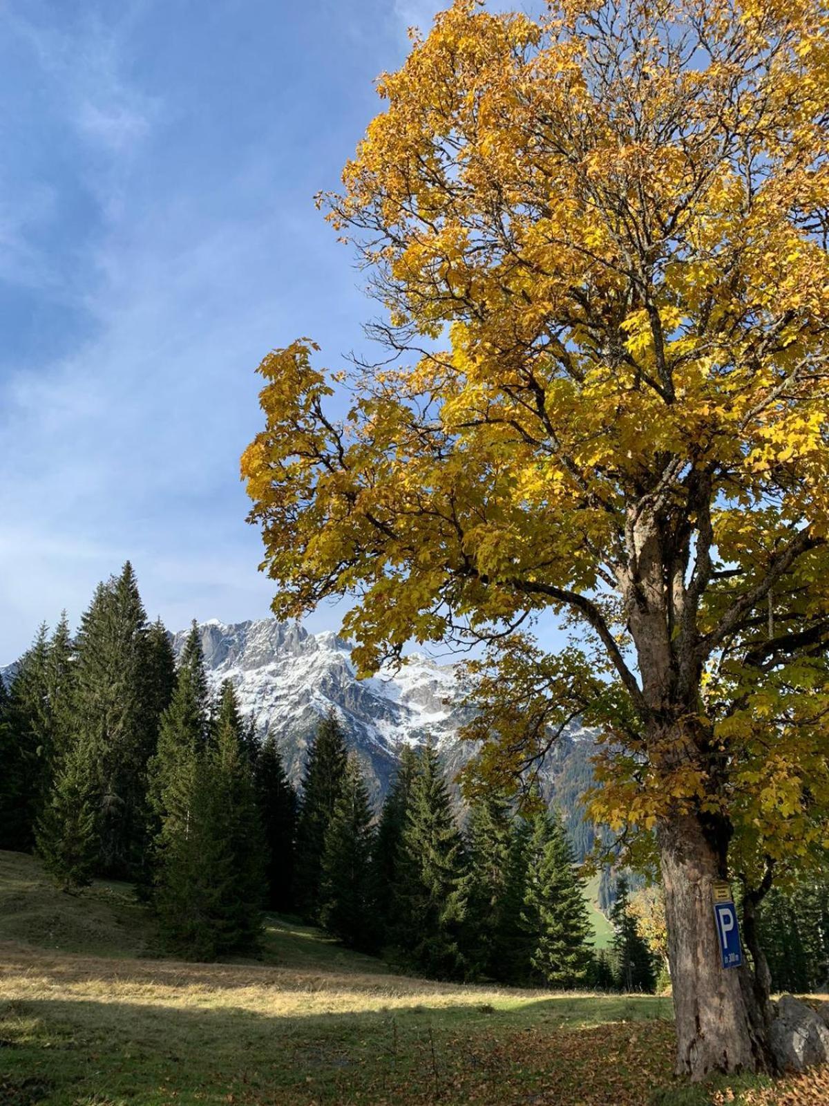 Alpenhof Hotel Sankt Martin am Tennengebirge Buitenkant foto